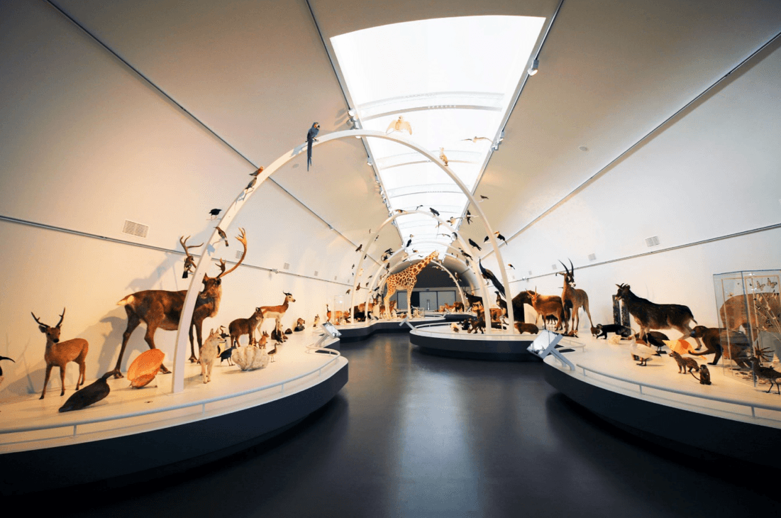 [object Object] - image 1